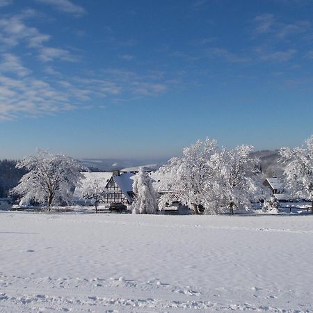 Berghotel Lenneplaetze Winterberg Eksteriør bilde