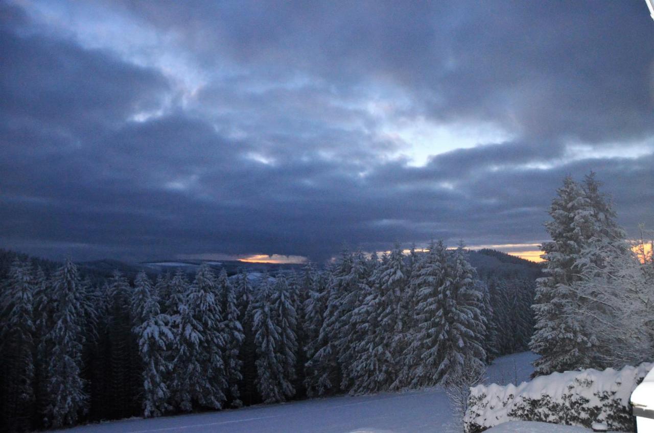 Berghotel Lenneplaetze Winterberg Eksteriør bilde