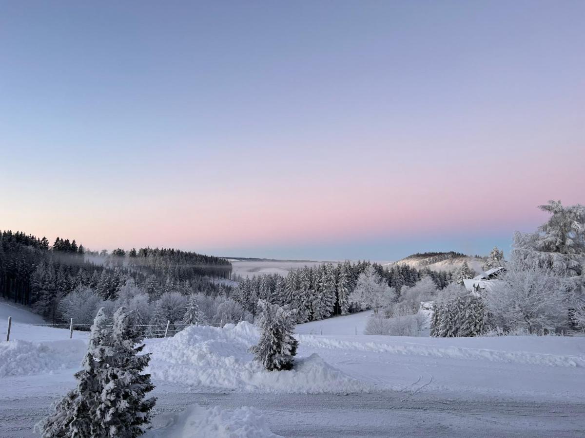 Berghotel Lenneplaetze Winterberg Eksteriør bilde